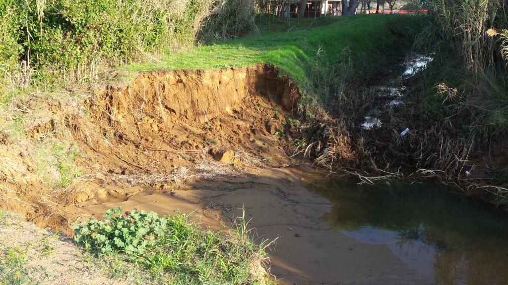 I fossi e lo stagno di Baratti (Piombino - LI)